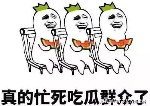 娱乐吃瓜酱专属梗图片