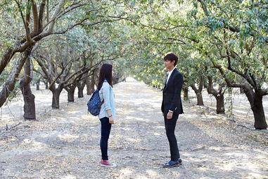 继承者人物背景